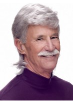 Synthetic Capless Handsome Mens Wig 