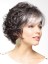 Gorgeous Soft Curly Synthetic Capless Grey Wig