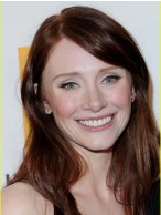 Natural Layered Celebrity Human Hair Wigs