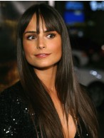 Long Straight Human Hair Celebrity Wigs