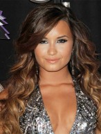 The Fresh Long Wavy Brow African American Lace Wigs