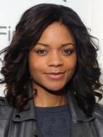 Mysterious Medium Curly Sepia African American Lace Wigs