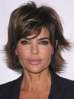 Gorgeous Short Wavy Brown African American Lace Wigs