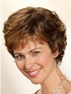 Short 2014 Popular Capless Wig