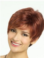 2014 Straight New Style Wig