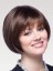 A Classic Bob Style Wig
