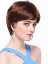 Short Straight Auburn Synthetic Wig